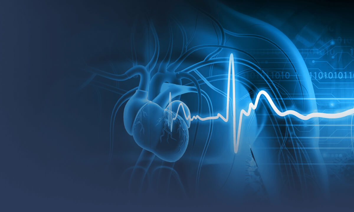 A digital illustration of a human heart 